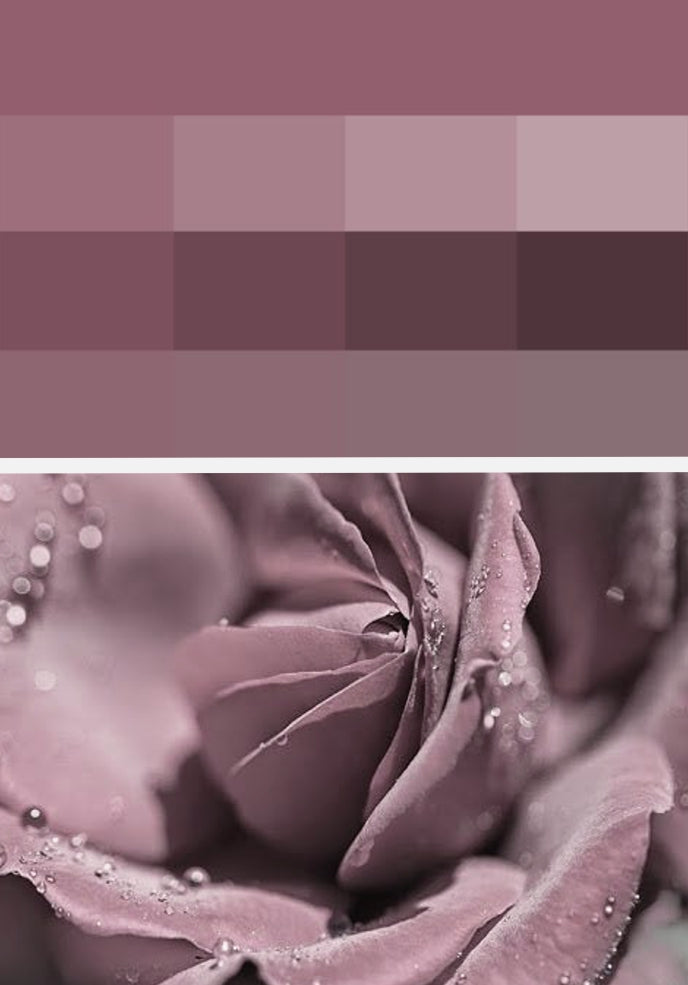 Solid Color Egyptian Cotton Luxury Bedding Set 400TC Long Staple Pima Sateen Weave in Twilight Mauve